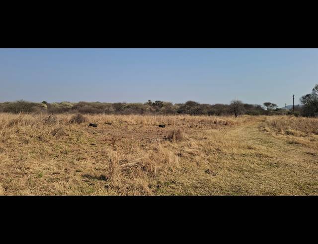 635HA FARM FOR SALE IN MARBLE HALL RURAL